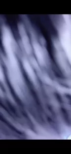 美人妻（车上云雨）
