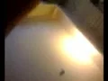 图像模糊