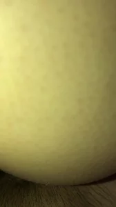 可定制